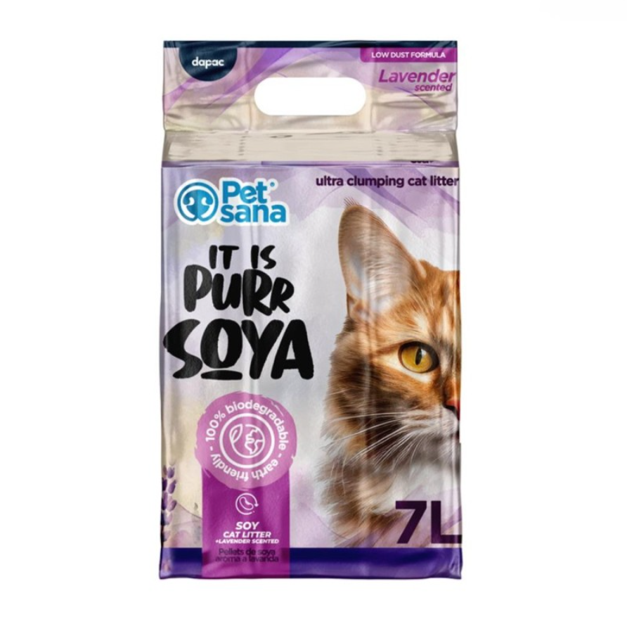 arena gato lavanda