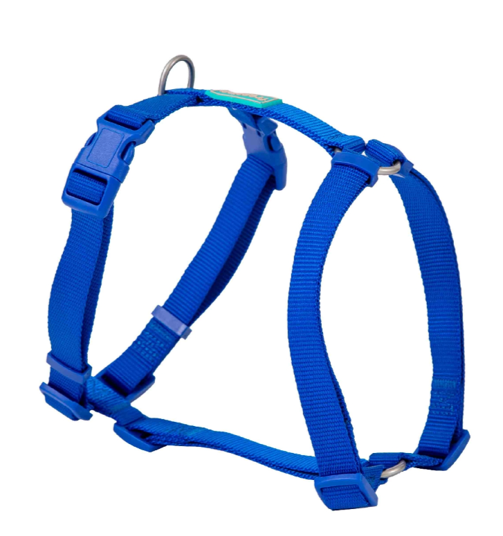 arnes azul