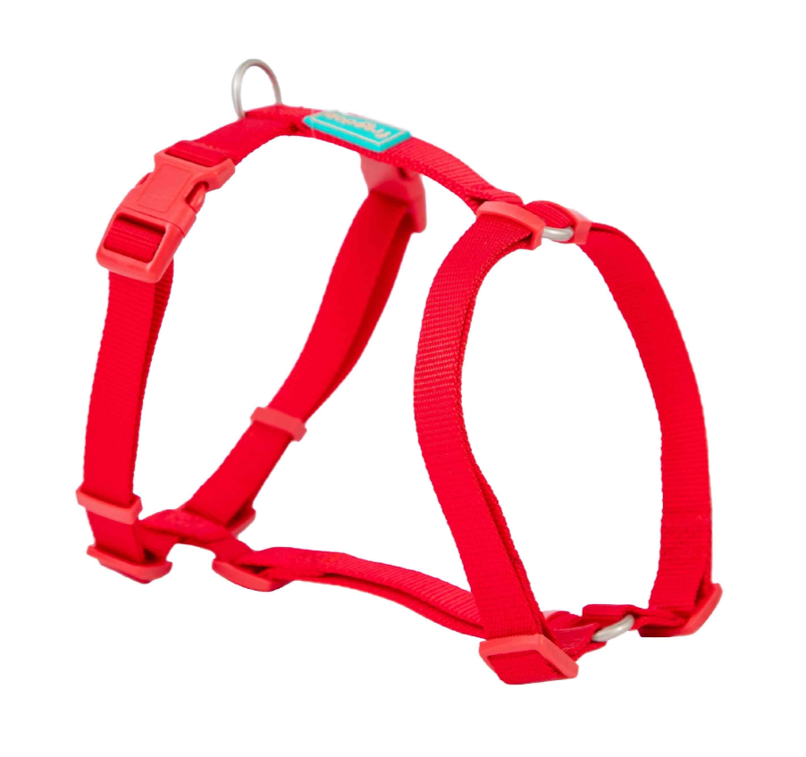 arnes rojo