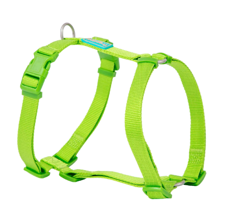 arnes verde