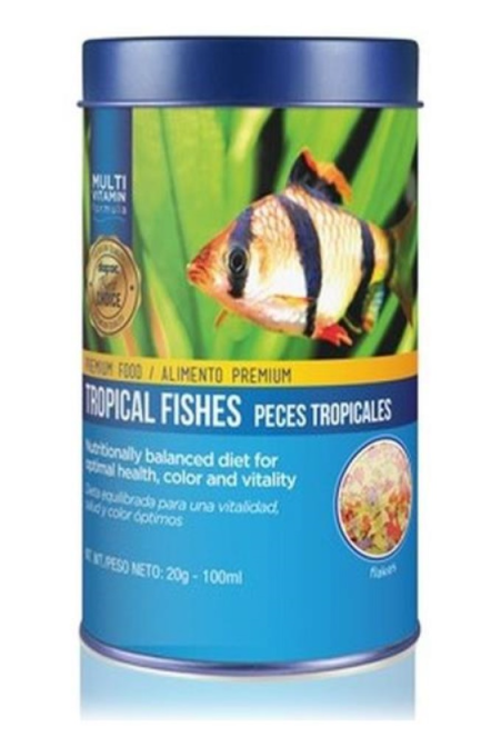 fish