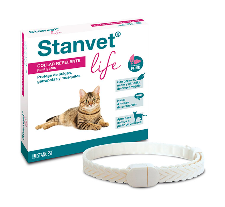 COLLAR GATO